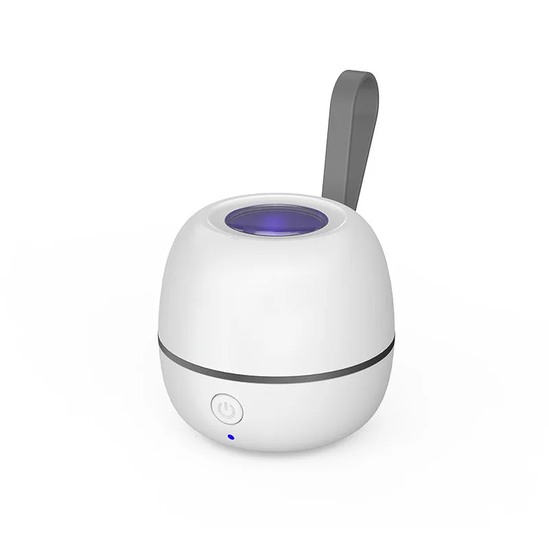 Portable Dummy Disinfection Box